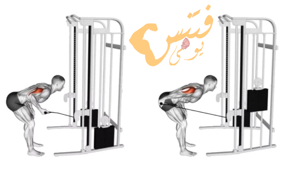 الركل الخلفى | Triceps Kick-Back